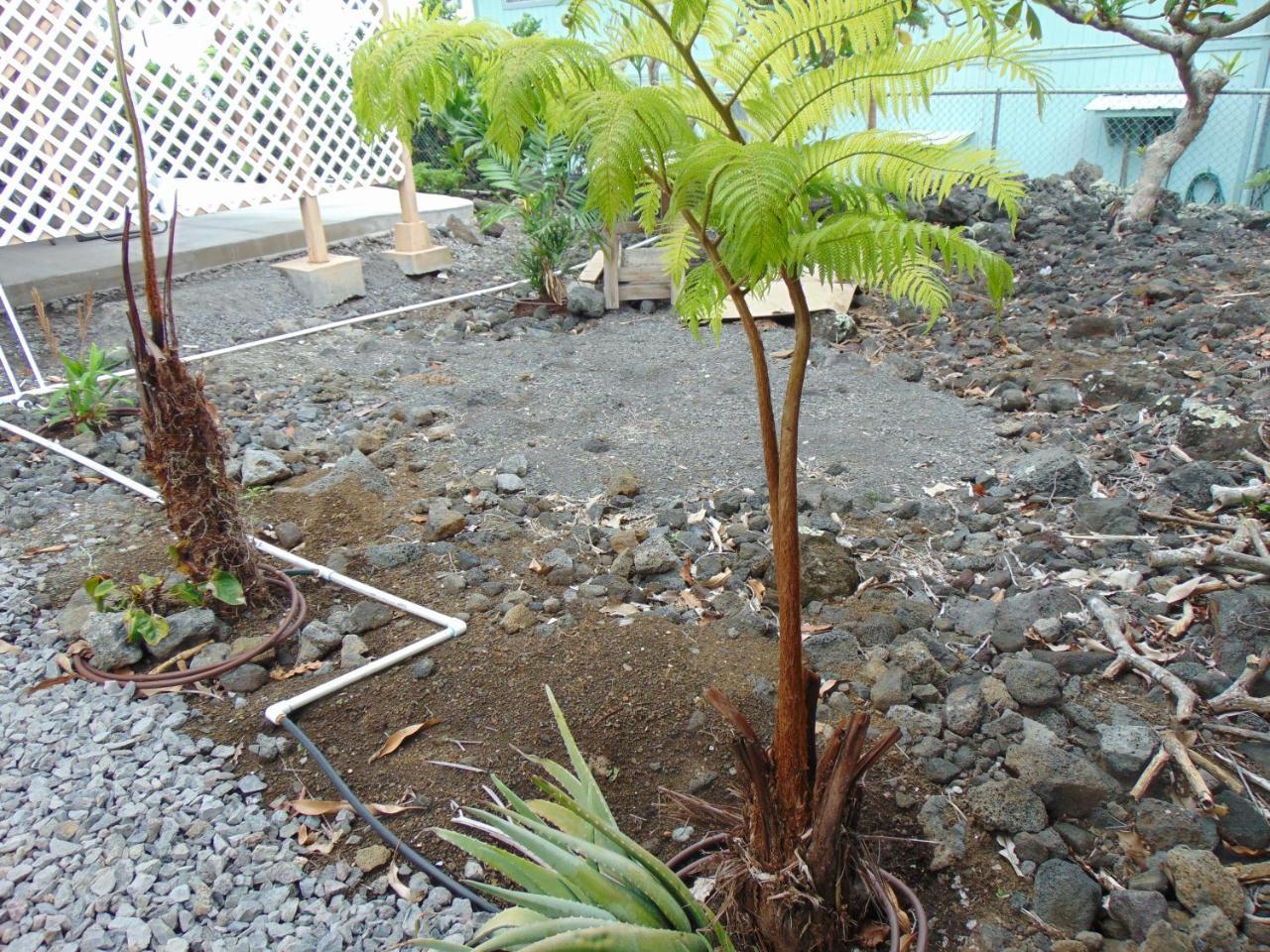 Ohana Hale Kailua Kültér fotó